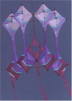 One of Robert's Gallileo kites