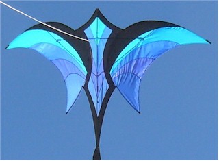 click for a bigger picture Blue Fade Ravenette