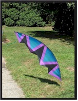 Angled Blade