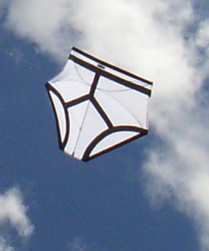 Longbottom Kites